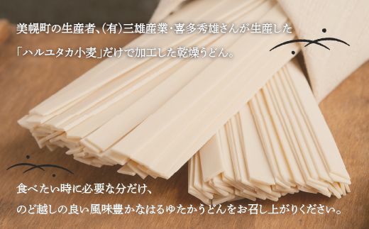 大人気の北海道小麦使用「はるゆたかうどん   平麺」 BHRH013