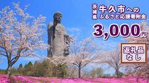 【 返礼品なし 】 茨城県 牛久市 ふるさと応援寄附金 ( 3,000円 ) [ZZ002us]