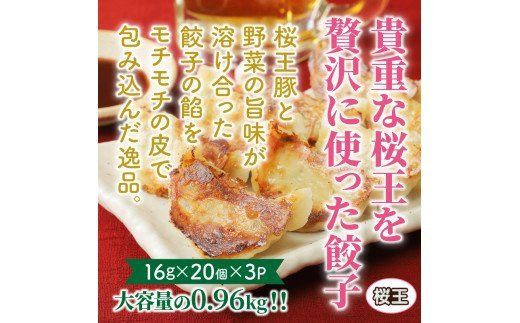 くにさき桜王豚の餃子60個/計0.96kg_1066R