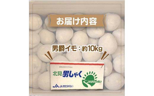 【予約：2024年9月下旬から順次発送】北海道 JAきたみらい「男爵いも」10kg ( 期間限定 野菜 芋 )【005-0008-2024】