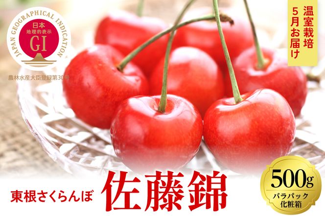 2024年産【5月お届け】GI東根さくらんぼ 佐藤錦秀品Lｻｲｽﾞ500g(バラパック入れ）　hi027-122