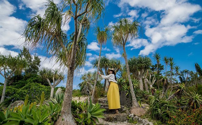 沖縄県観光スポット「東南植物楽園」入園券＜大人・中人＞