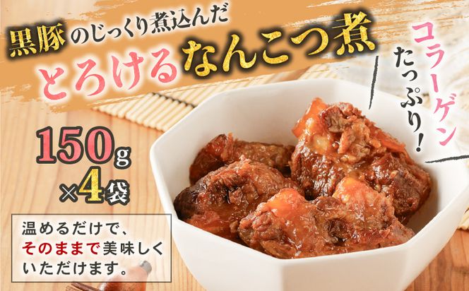 【10営業日以内に発送】鹿児島黒豚 バラエティーセット　K091-008