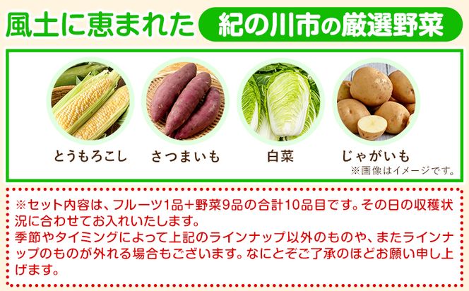 【12ヶ月定期便】紀の川市の恵み 旬のフルーツ＆野菜セット 計8~10品《お申込み月翌月から出荷開始》和歌山県 紀の川市 フルーツ 果物 野菜 セット 桃 梅 みかん 新玉ねぎ なす トマト キャベツ---wfn_cvgs1tei_23_120000_mo12num1---