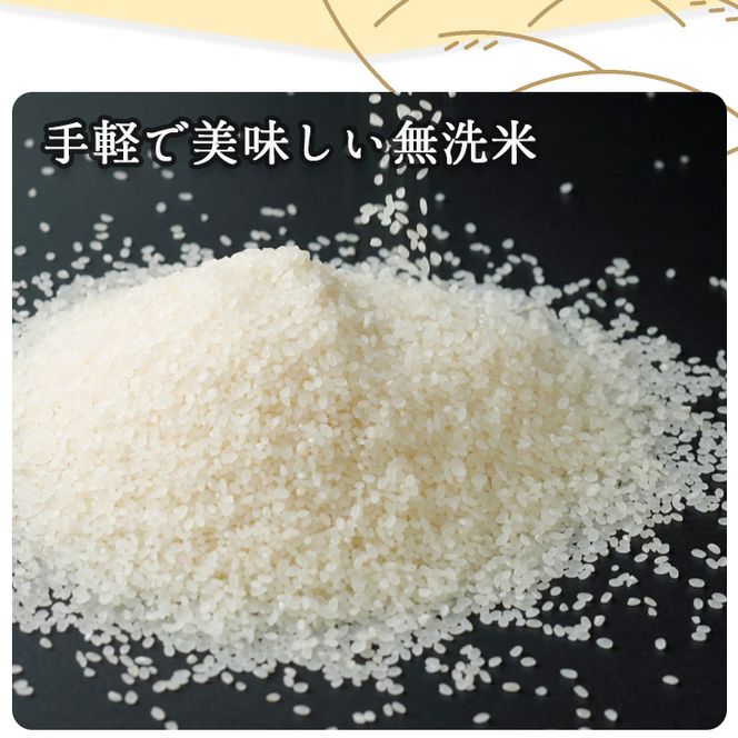 無洗米 5kg 京都丹波産 キヌヒカリ ※受注精米《米 白米 きぬ 無洗米 5kg 京都丹波産 キヌヒカリ ※受注精米《米 白米 きぬ