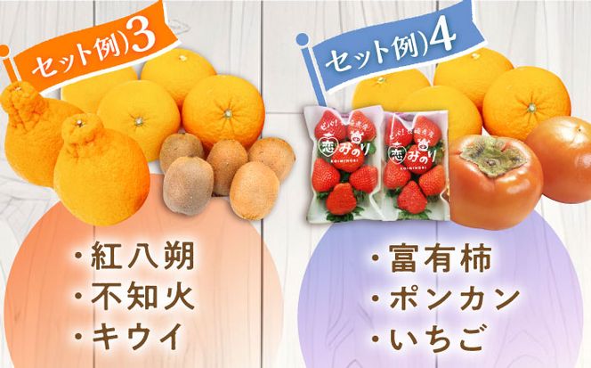 【6回定期便 隔月】フルーツ定期便 旬の果物 詰め合わせ 季節の果物をお任せで2〜3品目お届け（2〜3品目×6回）/ 果物 セット 甘い 南島原市 / 吉岡青果 [SCZ016]