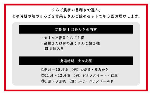 【先行予約】【定期便3回】旬を味わうりんご飴 味比べセット | りんご りんごあめ りんごアメ リンゴアメ フルーツ アップル 林檎 林檎飴 送料無料 ※2026年9月上旬頃～発送