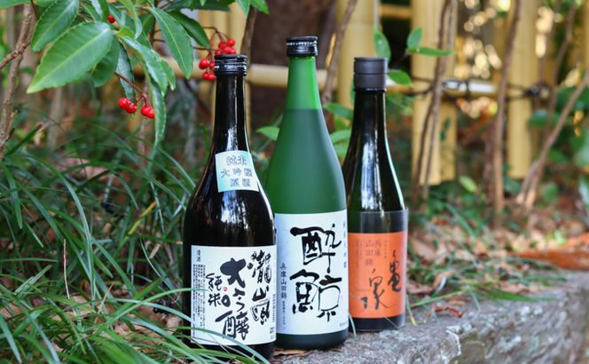 純米大吟醸　梅セット