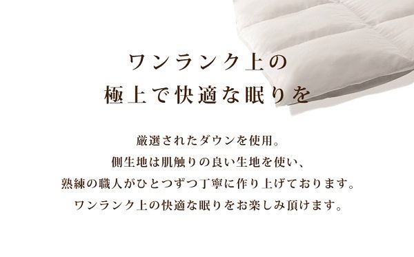 【合掛け布団】羽毛合掛け布団　ハイパーダウン（ダブル：190㎝×210㎝）ポーランド産ホワイトマザーグースダウン95％　BZ-12