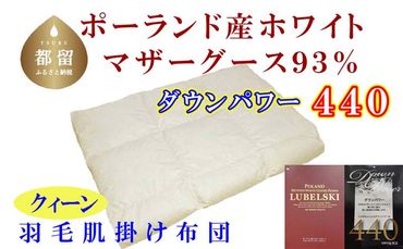 CK336【ポーランド産マザーグース93%】羽毛肌布団 クィーン 220×210cm【ダウンパワー440】