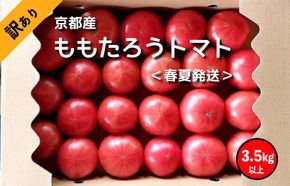 高糖度　ももたろうトマト（春夏発送）　訳あり　3.5キロ以上　不揃い　NG00002