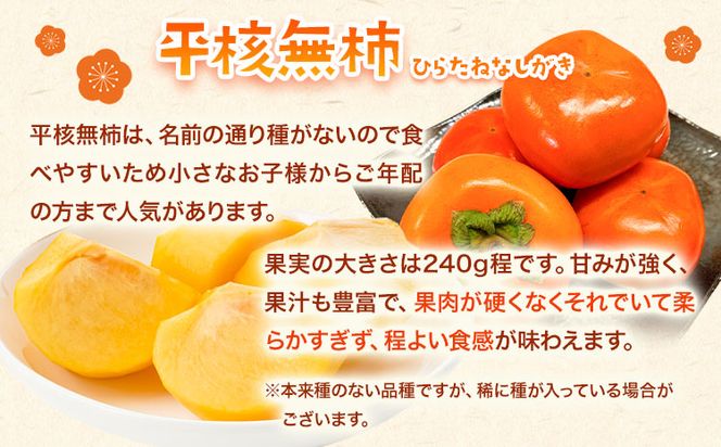 和歌山秋の味覚 平核無柿(ひらたねなしがき)約7.5kg 株式会社魚鶴商店《10月上旬-11月上旬頃出荷》 和歌山県 日高町 柿 カキ かき たねなし ジューシー フルーツ---wsh_uot33_ad1011_24_18000_75---