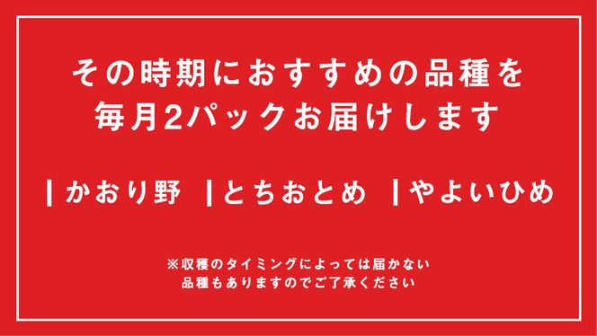 【 2ヶ月 定期便 】完熟 いちご 2パック ( 大粒 ) 先行予約 大粒 イチゴ 苺 フルーツ 果物 かおり野 とちおとめ やよいひめ [AF099ci]