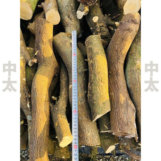 薪 キャンプ用 有田みかんの薪20kg(中太のみ)　DJ014