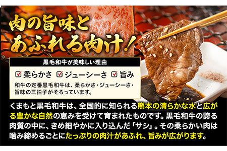 くまもと黒毛和牛 サーロイン リブロース 内モモ 希少部位 500g 牛肉 焼肉用 冷凍 《30日以内に出荷予定(土日祝除く)》 くまもと黒毛和牛 黒毛和牛 焼肉 肉 お肉 熊本県 玉東町---gkt_fkgsrumky_30d_24_12000_500g---