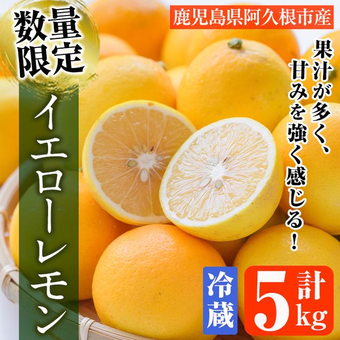 ＜2024年4月上旬以降発送予定＞数量限定！冷蔵品イエローレモン(5kg)国産 マイヤーレモン 檸檬 オレンジ 果実 果物 フルーツ 柑橘 デザート 期間限定【桐野柑橘株式会社】a-20-9