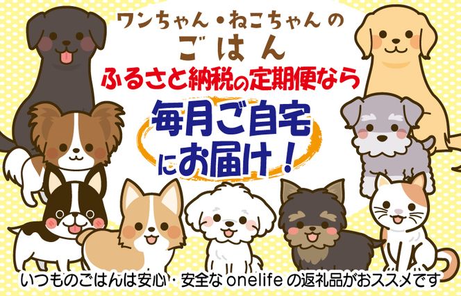 099Z328 【定期便】国産 無添加 ドッグフード「いのちのごはん」1kg×全3回【毎月配送コース】