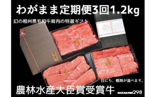 39-1438　わがまま定期便　 幻の相州黒毛和牛肩肉 1.2kg 年に3回お届け！