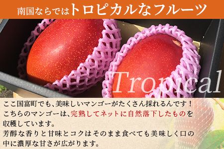 ＜宮崎特産！国富町産の完熟マンゴー 2玉（2L×2玉）＞2026年3月下旬～6月下旬迄に順次出荷【a0594_as】