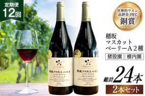 定期便 ワイン セット 穂坂マスカット・ベーリーＡ シングル・ヴィンヤード 750ml×2種×12回 酒 ワイン 赤ワイン / シャトー・メルシャン 勝沼ワイナリー / 山梨県 韮崎市 [20741001]