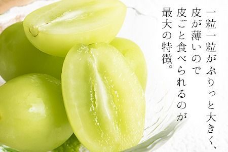 秀品 シャインマスカット 岡山 予約 数量限定 大粒 約1.2kg 2房 産地直送 葡萄 果物 秀品 スイーツ フルーツ デザート 岡山県 矢掛町 簡易包装《9月中旬～11月上旬頃に出荷予定(土日祝除く)》---ofn_cssm_g911_25_24000_2---