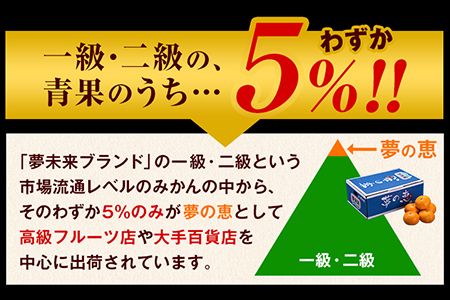 夢の恵 みかん 約2.5kg(20玉～30玉前後) 熊本県産 （長洲町産含む） 糖度12度以上 ブランドみかん ブランド 贈答用 贈り物《11月中旬-12月下旬頃出荷》 熊本県 長洲町---ng_yumemi_k11_24_9000_2kg---