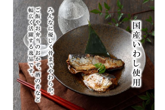 3回 定期便 訳あり 業務用 いわし煮魚 3種 ×10尾 計30尾入 約1.5kg ×3回 総重量 約4.5kg [カネダイ 宮城県 気仙沼市 20565563] 魚 魚介 煮魚 国産 生姜煮 梅肉煮 みぞれ煮 おかず 焼き魚 簡単 時短 訳アリ 冷凍