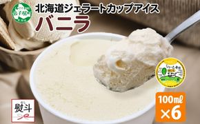 2341. 無地熨斗 くりーむ童話 カップアイス バニラ 100ml×6個 アイスクリーム アイス スイーツ 牛乳 ミルク 贈り物 gift ギフト プレゼント 詰め合わせ 送料無料 北海道 弟子屈町