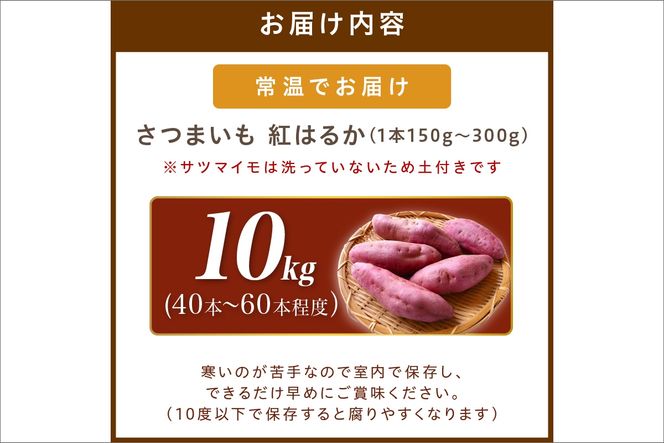 テレビで紹介！さつまいもオブザイヤー紅はるか部門全国1位 京都・ 丹後産 日本一 竹田農園 の さつまいも 紅はるか　土付き（1本150〜300g） 10kg（40～60本程度）　TF00002