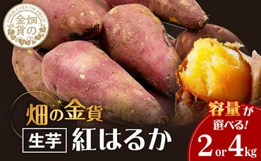 畑の金貨　生芋　紅はるか　容量が選べる　2kg or 4kg　K181-004