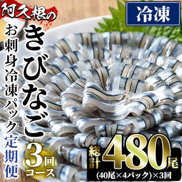 ＜定期便・全3回(冷凍便)＞鹿児島県産！阿久根のきびなごお刺身セット(計480尾・40尾×4P×3回)冷凍 魚介類 海鮮 魚 きびなご キビナゴ 刺身 さしみ 刺し身 青魚 子魚 小分け【椎木水産】a-34-5