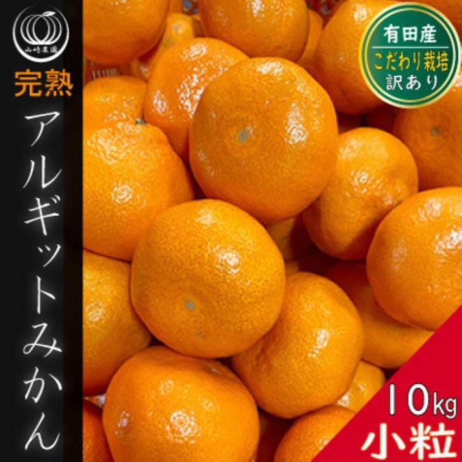 完熟 小粒 アルギット みかん 10kg 2S ～ 3S サイズ | 年内発送 先行予約 ちっちゃい 小粒 小玉 みかん 有田みかん 甘い おいしい ジューシー 皮 薄い 完熟 期間限定 フルーツ 果物 人気 おすすめ 高級 こだわり ギフト 旬 スイーツ 和歌山 DT020