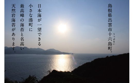 【希少】天然岩のり　十六島海苔（うっぷるいのり）【1_4-033】