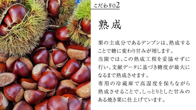 庄七農園 厳選『 最高等級 』氷蔵熟成 焼き和栗 500g 10月下旬発送開始 茨城 お取り寄せ 茨城県産 栗 くり 焼栗 おやつ スイーツ 茨城 和栗 美味しい 果物 フルーツ 庄七農園 [BK15-NT]