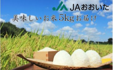 JA美味しいお米/5kg（ひとめぼれ）_1663R