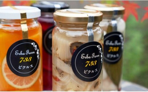 【農家のこだわり野菜使用】おまかせ ピクルス 3本《築上町》【ERBA　FARM733】[ABAP001]