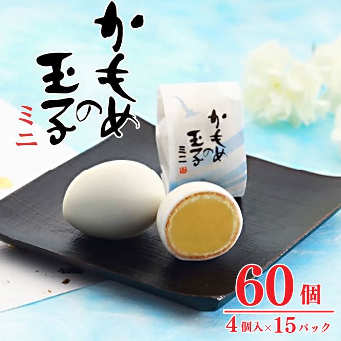 y茧Dnsz߂̋ʎq~j4×15pbN(v60) [kamome13_1]