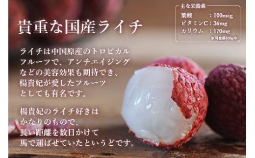 ＜宮崎県産 生ライチ 大粒12個入り＞ 2025年7月上旬～7月下旬迄に順次出荷【c643_mk_x5】