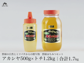 【予約】国産純粋はちみつ 天然 農林水産大臣賞 磐梯はちみつ 1200g［瓶］500g［チューブ］ はちみつセット　※令和8年7月より順次発送予定