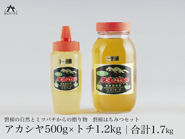 国産純粋はちみつ 天然 農林水産大臣賞 磐梯はちみつ 1200g［瓶］ 1.2kg 500g［チューブ］ 1700g 1.7kg はちみつセット トチはちみつ アカシヤはちみつ トチ アカシヤ トチ蜜 アカシヤ蜜 産地直送 無添