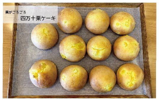 R5-676．パンのピノキオ特製　生食パン＆菓子パン詰め合せ