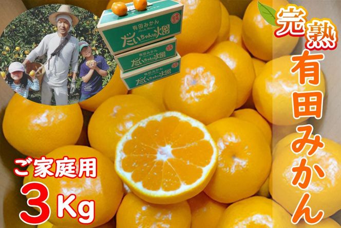 ya̎RLc쒬zyƒpzLc݂  3kg ir`2kTCY~bNXjؐ芮n 傿̔_  CA11