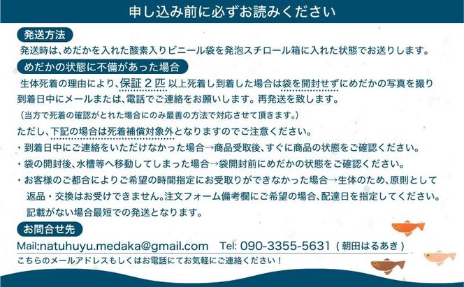 GM001 選りすぐり”めだか20匹＋(死着保証2匹）