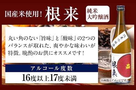 【紀州の地酒】純米吟醸酒 根来 長期熟成山廃仕込み 根来桜 飲み比べセット 720ml×2本 厳選館《90日以内に出荷予定(土日祝除く)》 和歌山県 日高川町 酒 純米吟醸 飲み比べ 1440ml---wshg_genjkks_90d_22_13000_2p---