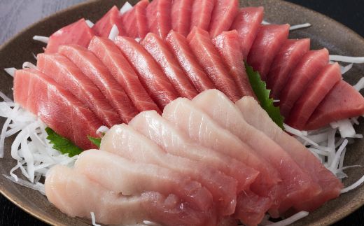 [定期便5回]厳選天然本マグロ 豪華定期便 お楽しみ セット 1回あたり約600g [訳あり] まぐろ 鮪 大トロ 中トロ 赤身 食べ比べ 刺身 刺し身 海鮮丼 寿司 魚 魚介類 冷凍 定期便 5回 ふるさと納税限定