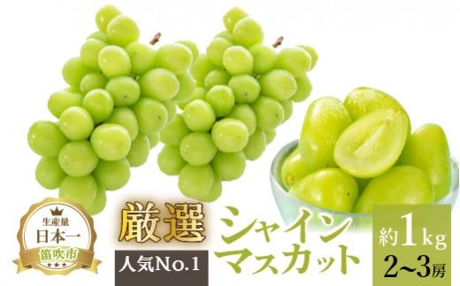 【2026年発送★先行予約】厳選!!池田青果のシャインマスカット1.0kg 2~3房 173-006-26y