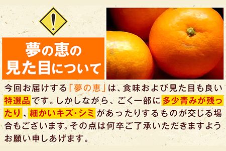 夢の恵 みかん 約2.5kg(20玉～30玉前後) 熊本県産 （長洲町産含む） 糖度12度以上 ブランドみかん ブランド 贈答用 贈り物《11月中旬-12月下旬頃出荷》 熊本県 長洲町---ng_yumemi_k11_24_9000_2kg---