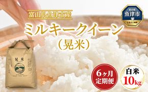 【6ヶ月定期便】【令和6年度米】「魚津のミルキークイーン（晃米）」10kg（白米） ｜ 環境配慮 MK農産 お米 ブランド米 銘柄米 精米 ご飯 おにぎり 産地直送 甘み 粘り もちもち ※2024年10月下旬頃より順次発送予定 ※北海道・沖縄・離島への配送不可