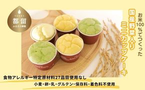 CP016  お米100％でつくった　野菜入りミニカップケーキセット