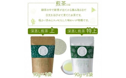 ＜上級煎茶5袋＋特上煎茶パウダー＞翌月末迄に順次出荷【c109_kn_x2】